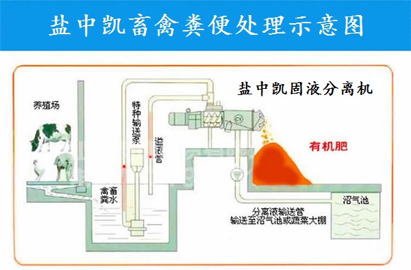 快猫视频黄污app下载大全机